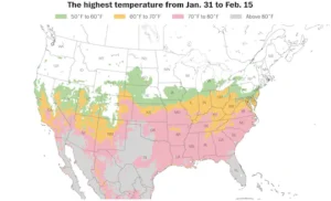 Unseasonable Warmth: 200 Million+ to See Temps Above 60°F 🌡️☀️ Over 200 million people across 30+ states will experience temperatures above 60°F this week, with some areas reaching 70s and even 80s. (Source: Ben Noll / ECMWF)